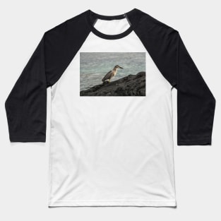 Black-crowned night heron of hawaii 7 Baseball T-Shirt